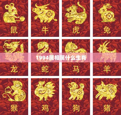 1994屬|1994年属什么生肖